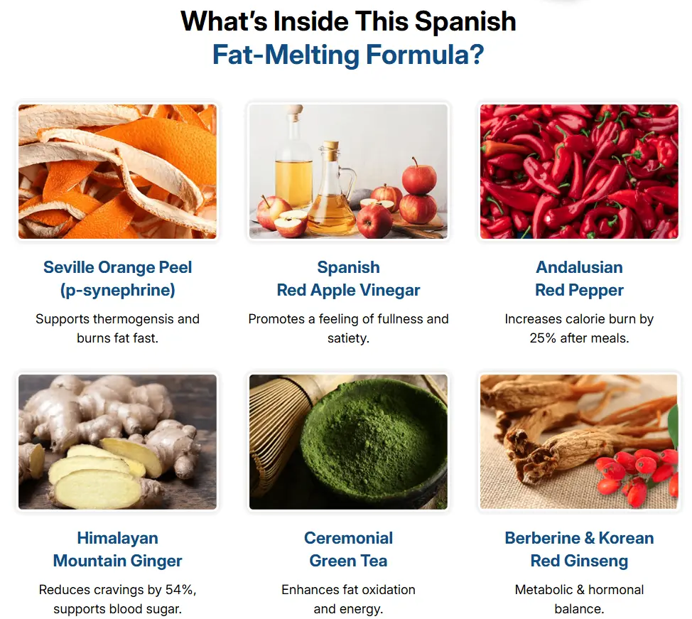 CitrusBurn Supplement Bottle